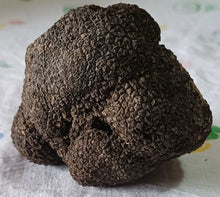 Load image into Gallery viewer, Fresh Truffle - Next Day Shipping - Pacific Wild Pick
