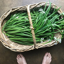 Load image into Gallery viewer, Fresh Wild Spring Onion - Pacific Wild Pick
