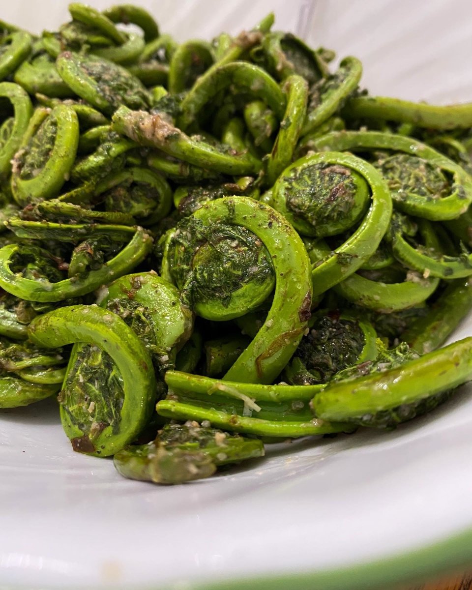 Frozen and cleaned Fiddleheads - Pacific Wild Pick
