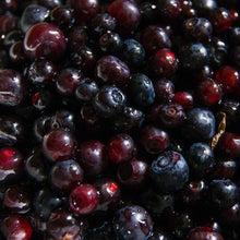 Load image into Gallery viewer, Frozen Huckleberry - Pacific Wild Pick
