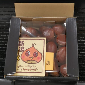 Gift Box Grade Chestnuts - Pacific Wild Pick