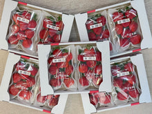 Load image into Gallery viewer, Gift Grade Japan Strawberry - Next Day Shipping - Pacific Wild Pick
