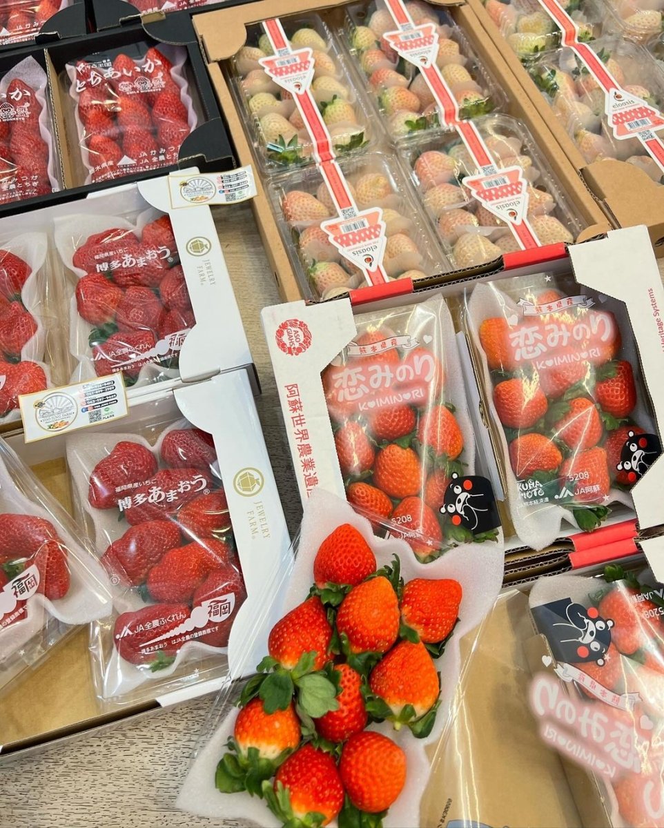 Gift Grade Japan Strawberry - Next Day Shipping - Pacific Wild Pick