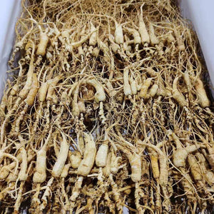 Home delivery Ginseng Canada