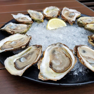 Live Malpeque Oysters in Shell - Pacific Wild Pick