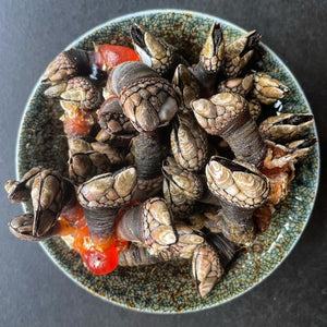 Live Percebes- SPECIAL RESERVE - Pacific Wild Pick