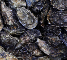 Load image into Gallery viewer, Live Royal Miyagi Oysters - Pacific Wild Pick
