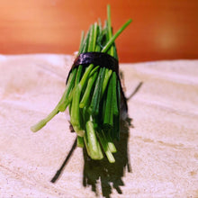 Load image into Gallery viewer, Menegi Nigiri Sushi - Pacific Wild Pick
