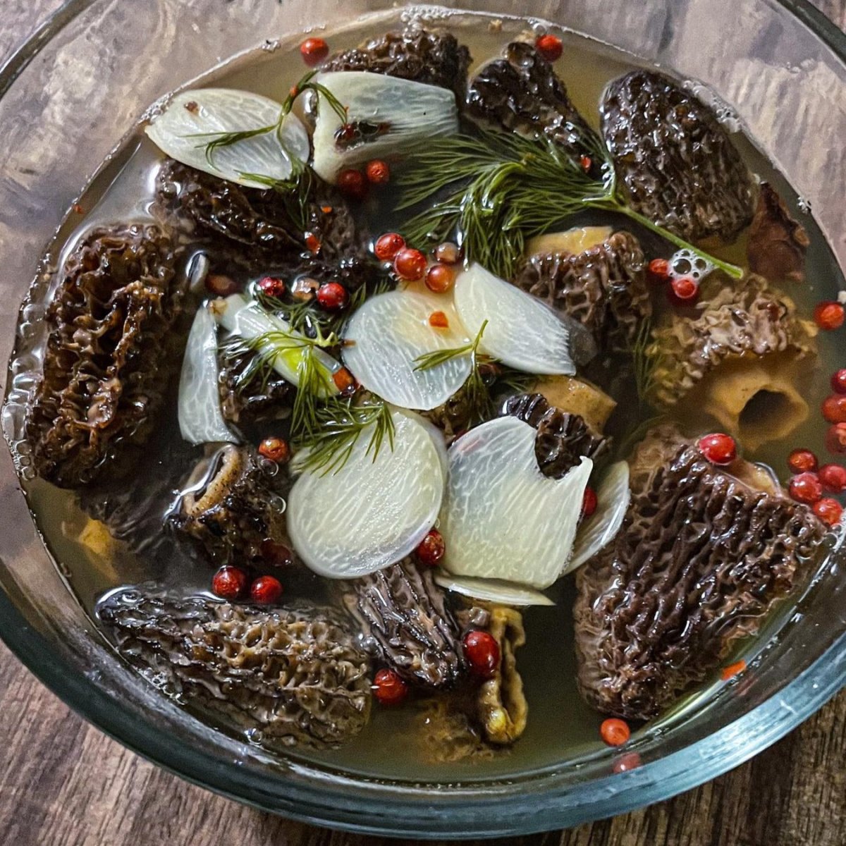 Fresh Morel Mushrooms | Pacific Wild Pick