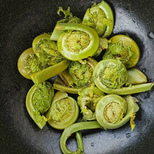 Load image into Gallery viewer, Pacific Wild Frozen Fiddleheads - Pacific Wild Pick

