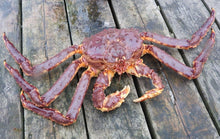 Load image into Gallery viewer, Patagonia King Crab - Next Day Shipping - Pacific Wild Pick
