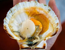 Load image into Gallery viewer, scallops Pacific wild pick
