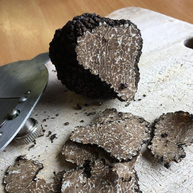 Spanish Périgord Truffles - Next Day Shipping - Pacific Wild Pick