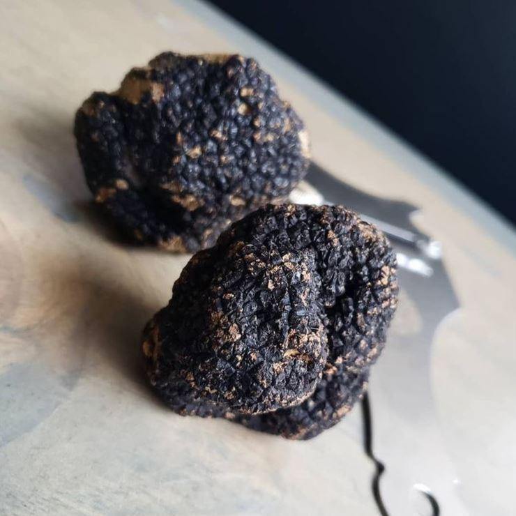 Fresh Black Italian Summer Truffle Combo