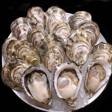 Load image into Gallery viewer, Sunseeker Oysters - Pacific Wild Pick
