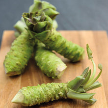 Load image into Gallery viewer, Real Fresh Wasabi Root.
